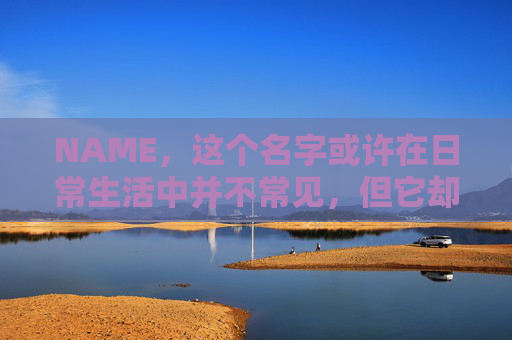 NAME，这个名字或许在日常生活中并不常见，但它却在某些领域里扮演着重要的角色。今天，让我们一起来探索这个名字背后的故事和意义